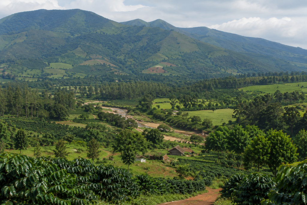 Home 15 Araku Valley